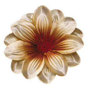 Crocus 1