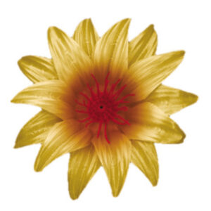 Crocus 2