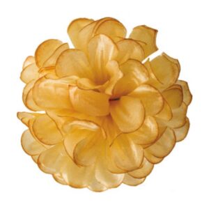 Crizantemă
