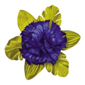 Garoafă frunză