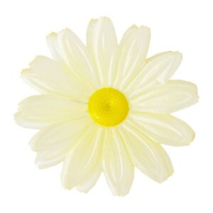 Gerbera G3A