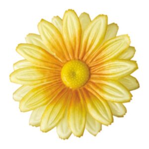 Gerbera G3A