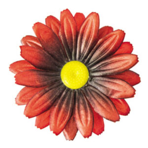 Gerbera G3A