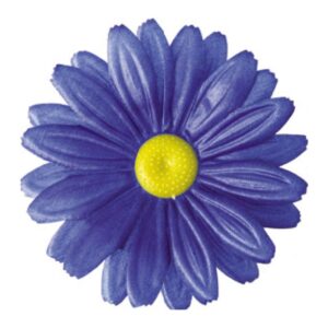 Gerbera G3A