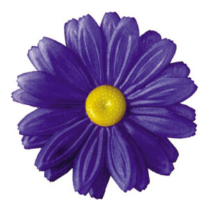 Gerbera G3A