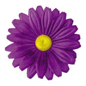 Gerbera G3A