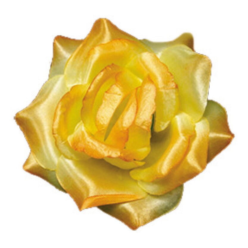 Trandafir T2, galben k122 — en-gros
